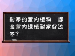 耐寒的室內(nèi)植物(哪些室內(nèi)綠植耐寒好過(guò)冬？)