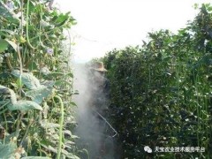 都哪些農(nóng)藥是堿性的？